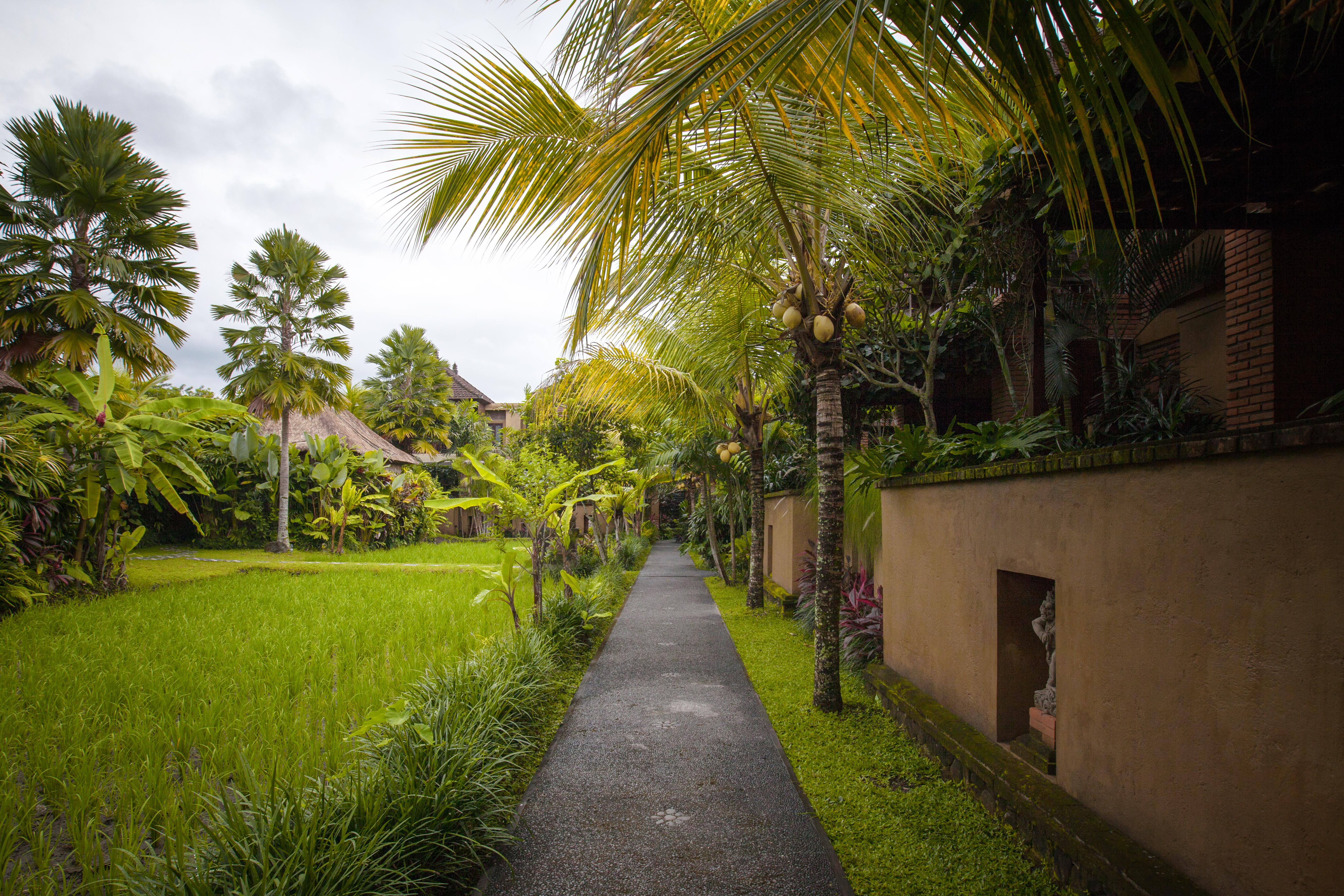 Bebek Tepi Sawah Restaurant & Villas Ubud Exteriör bild