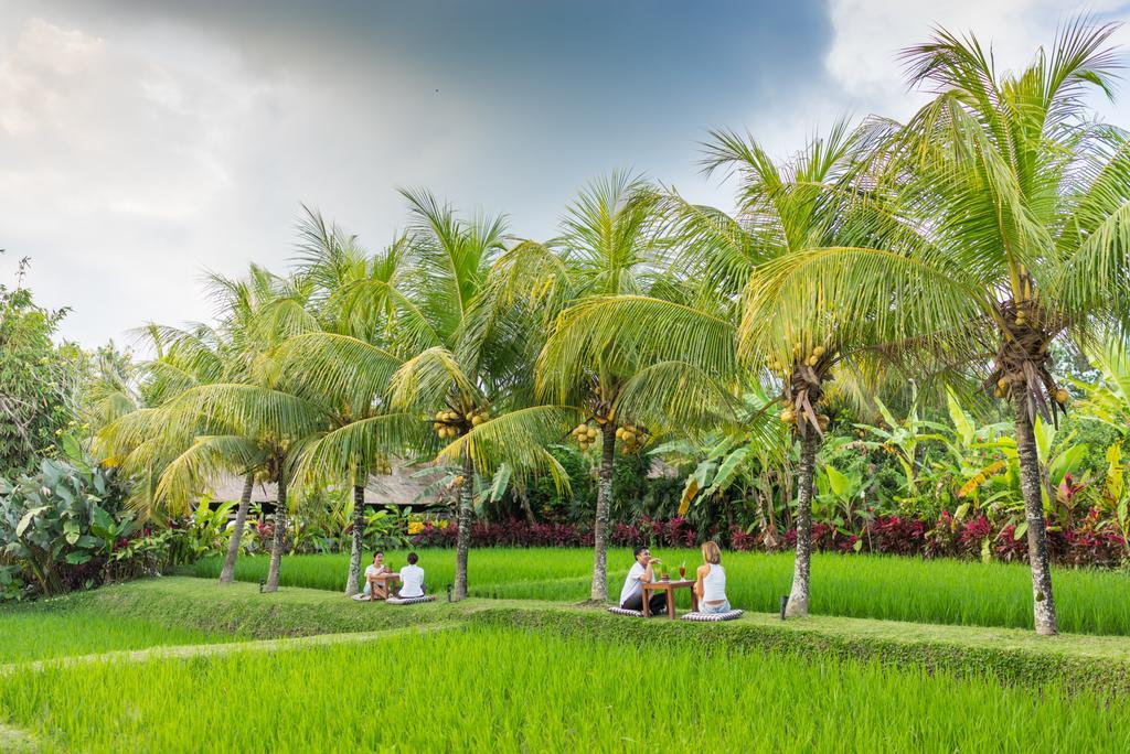 Bebek Tepi Sawah Restaurant & Villas Ubud Exteriör bild
