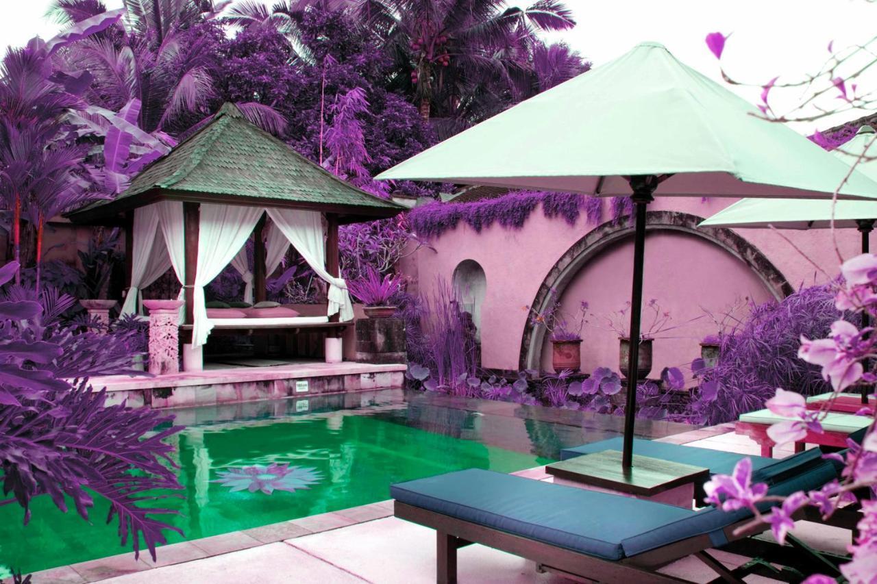 Bebek Tepi Sawah Restaurant & Villas Ubud Rum bild